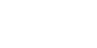Aquineuro